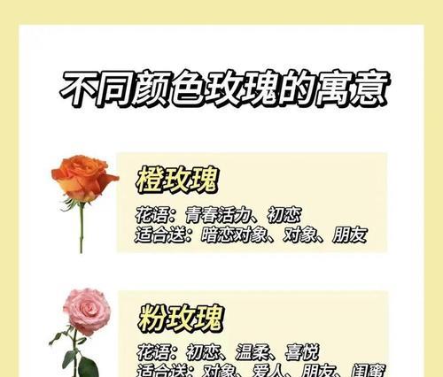 哪些花的花语与神有关？花语中涉及神的花有哪些？