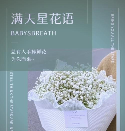 满天星花语是什么？为什么它被认为是最好的？