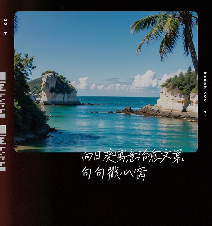 向日葵在西方代表什么？它的花语有何特别之处？