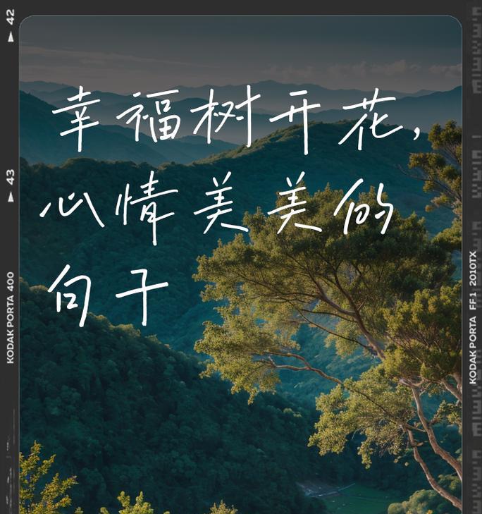 幸福树的花语是什么？它象征着什么？
