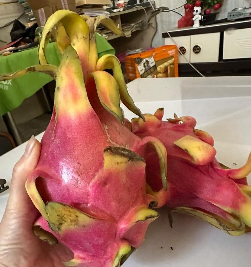 火龙果的花语寓意是什么？它象征着什么？