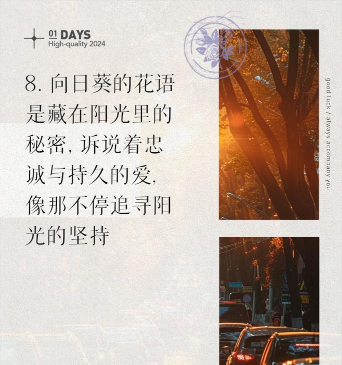 向日葵的花语在几月开放？它的花期是什么时候？