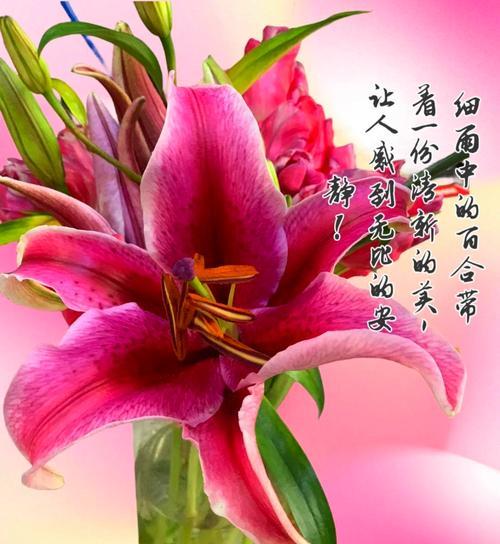 两生花的花语是什么？它背后有哪些传说？