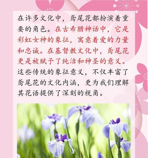 冬季鸢尾花的花语代表了什么？它有什么特别含义？