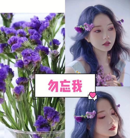 勿忘我不同花色的花语是什么？它们各自代表什么？