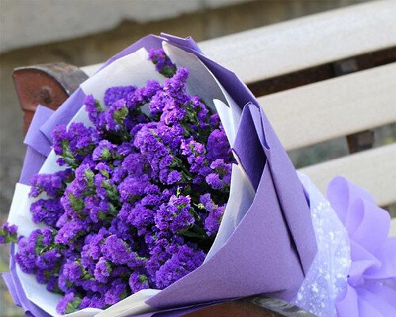 勿忘我不同花色的花语是什么？它们各自代表什么？