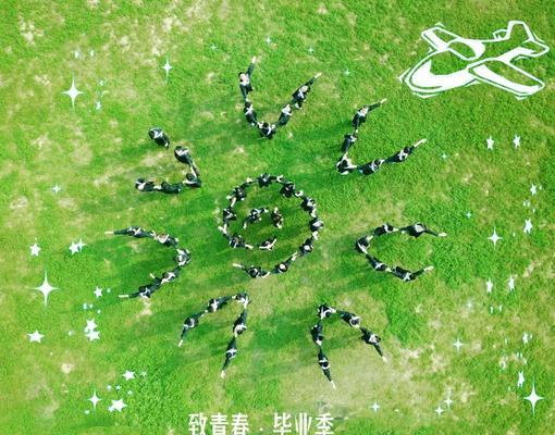哪种花的花语代表致青春？它的含义是什么？