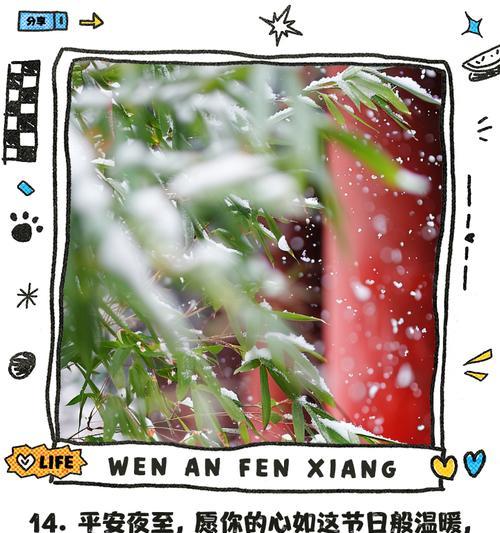 平安夜送什么花表示祝福？它的花语是什么？