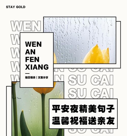 平安夜送什么花表示祝福？它的花语是什么？