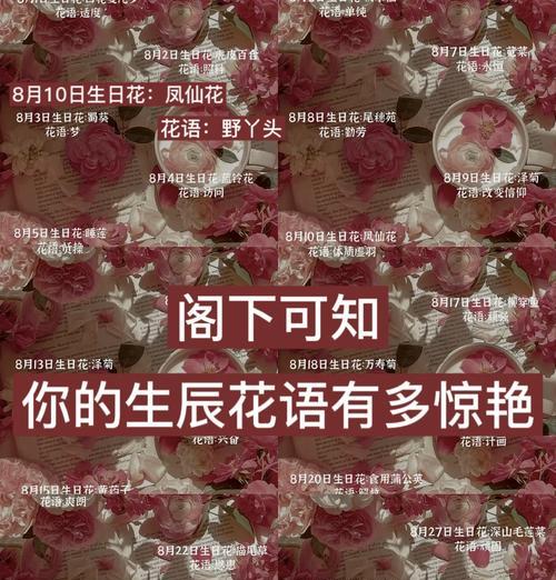 粉紫色安祖花的花语是什么？它代表了什么？