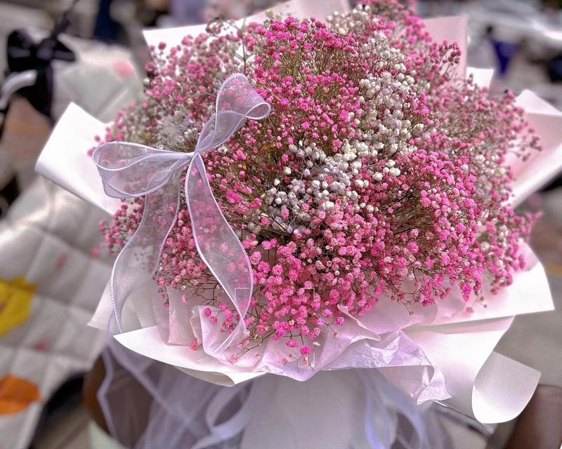 满天星鲜花的花语是什么？象征着什么？