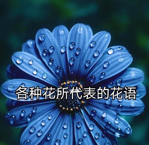 若绿的花语是什么？它象征着什么？
