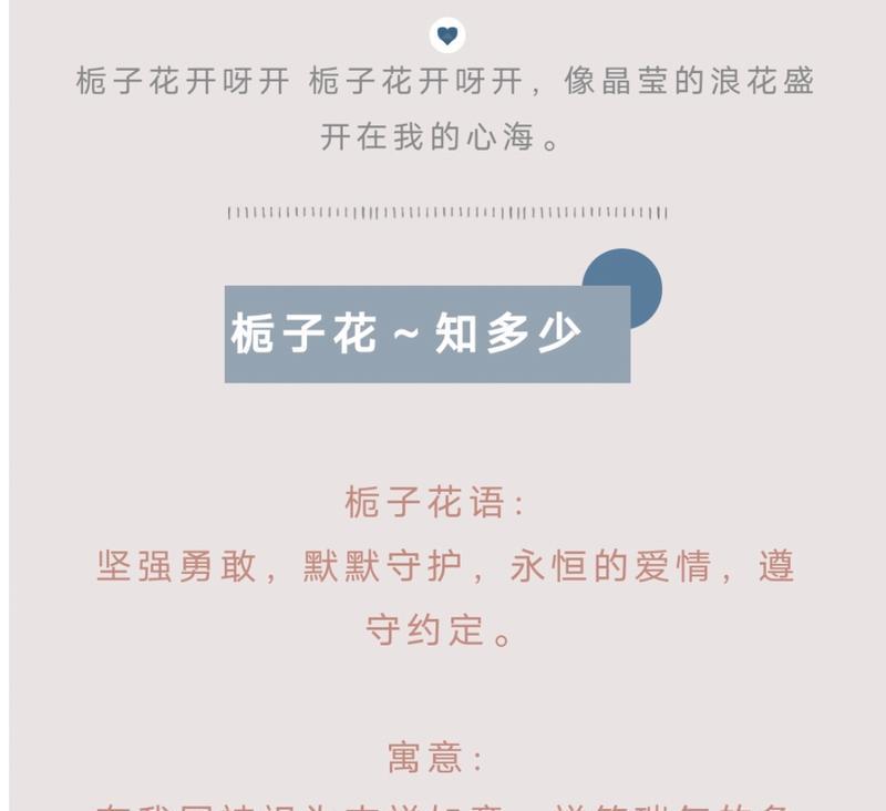 知道栀子花的花语吗？它代表了什么？