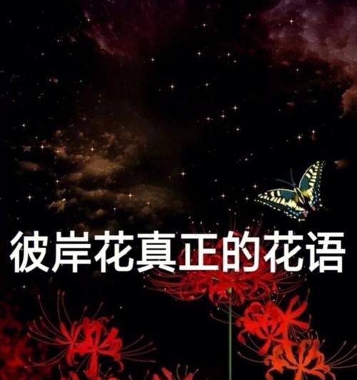 诗意的彼岸花花语是什么？它有何含义？