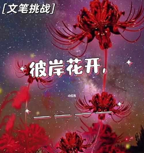 诗意的彼岸花花语是什么？它有何含义？