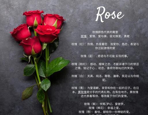 黄玫瑰加金辉花语是什么？它代表了什么？