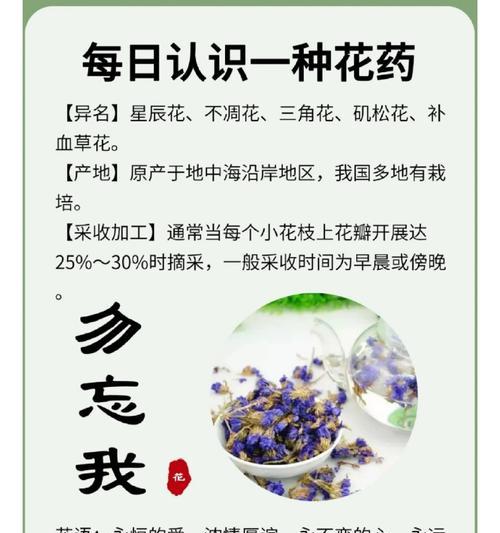 勿忘我花语好吗？它象征着什么？