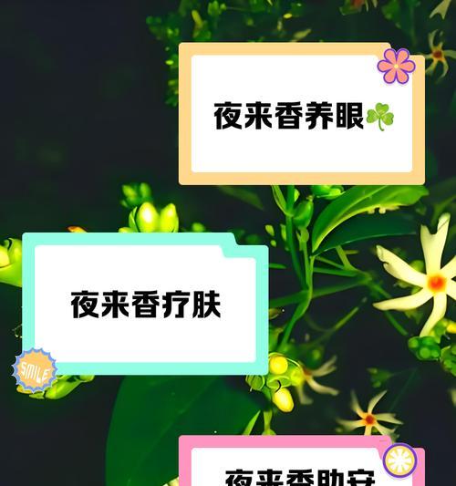 夜来香修剪的最佳时机和方法是什么？