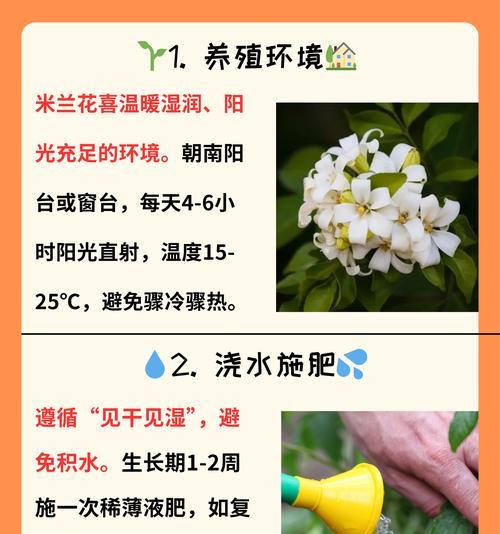 米兰剪枝的最佳时间是什么时候？米兰剪枝的正确方法是什么？