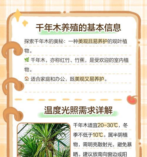 千年木的养殖技巧是什么？如何避免叶片变黄？