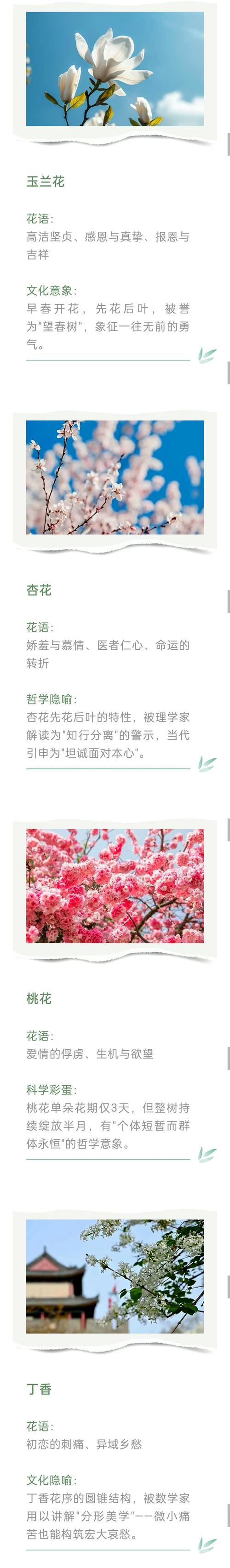 雷童子的养殖要点和常见问题？