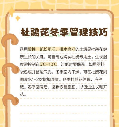 杜鹃花的养殖技巧有哪些？