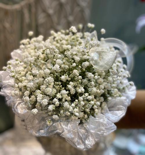 满天星花束的养护秘诀是什么？如何延长花束寿命？