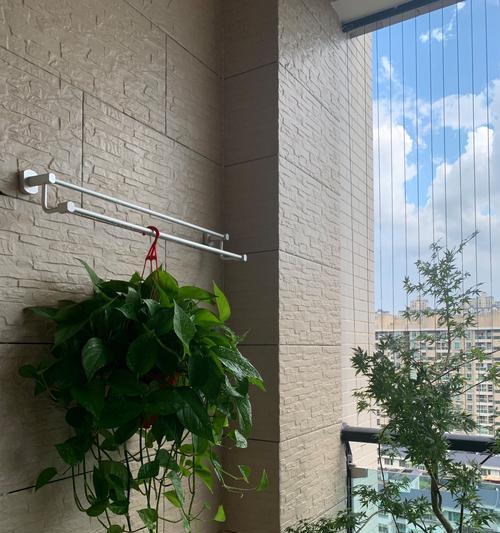 盆栽藤状花卉有哪些？藤状植物的盆栽养护技巧是什么？