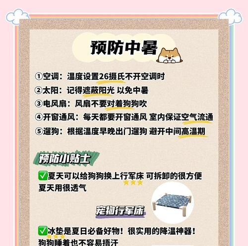 夏季植物养护的要点是什么？如何防暑降温？