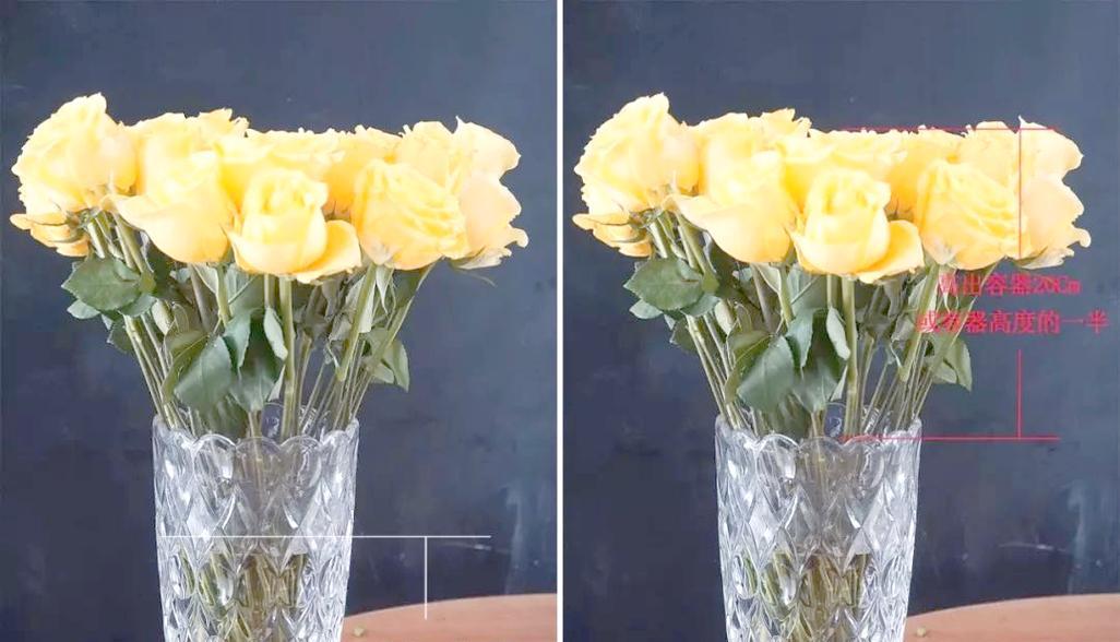 玫瑰花什么时候开放最佳？如何照料才能延长花期？