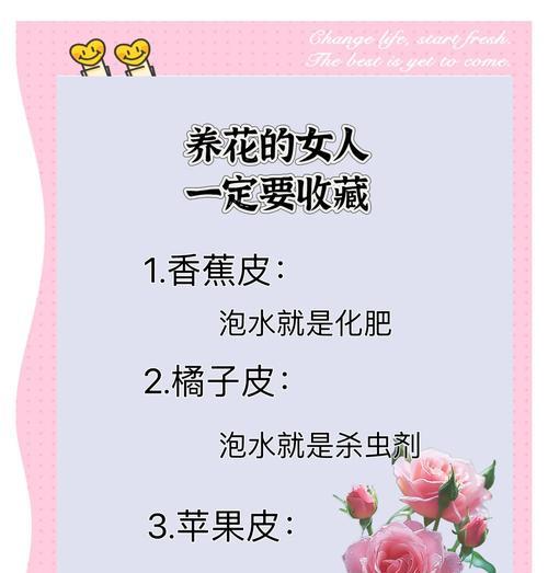 花卉保养的正确方法有哪些？
