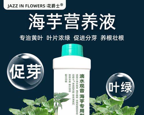 滴水观音应该施用什么肥料？