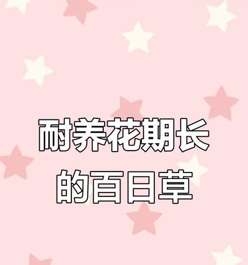 百日草播种的最佳时间是什么时候？