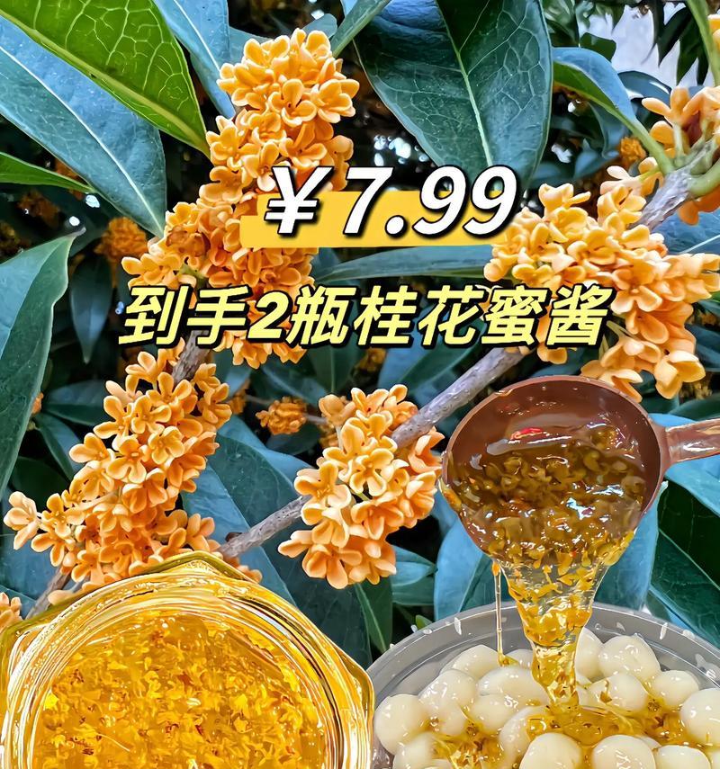 桂花的食用方法有哪些？