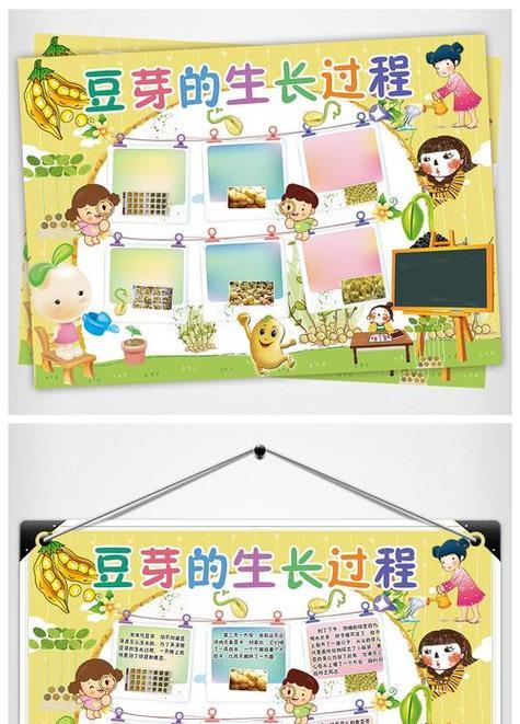 花豆芽发芽步骤详解？