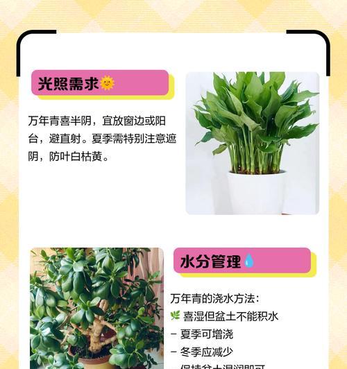万年青长虫了该如何处理？