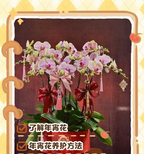 花卉运输的最佳方法和注意事项是什么？