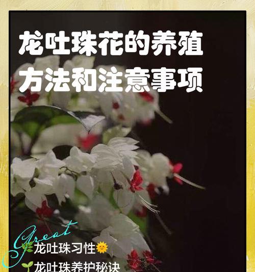 花卉运输的最佳方法和注意事项是什么？
