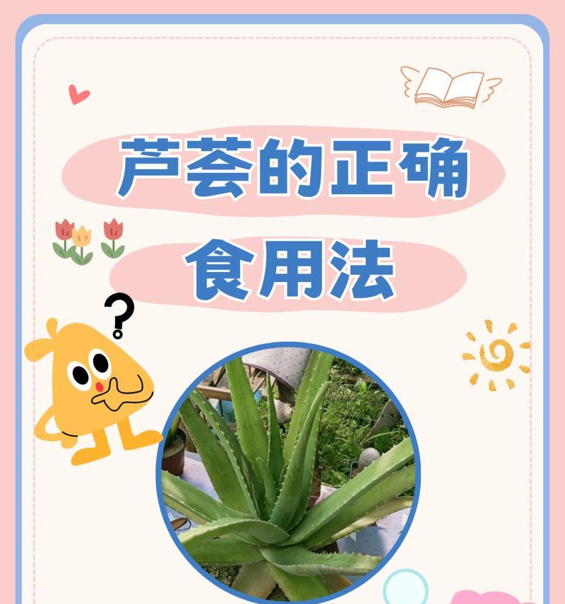芦荟繁殖技巧有哪些？