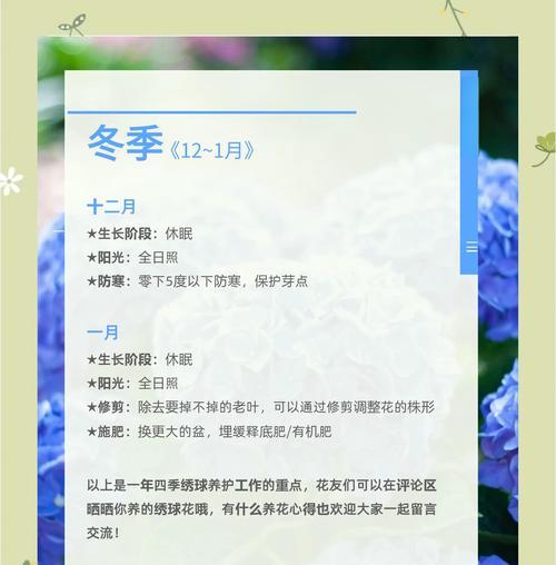 绣球花的养护方法和注意事项是什么？