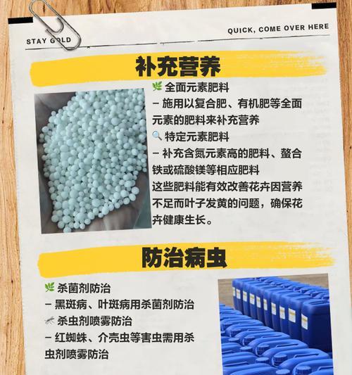 花叶子发黄是什么原因？如何预防和解决？
