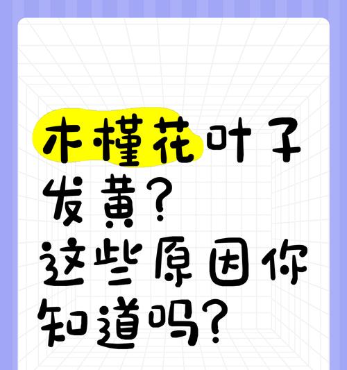 花叶子发黄是什么原因？如何预防和解决？