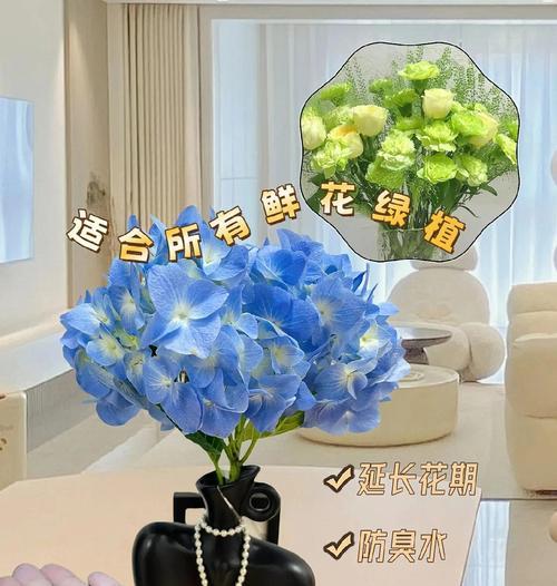 鲜花品种介绍及养护方法？如何延长鲜花寿命？