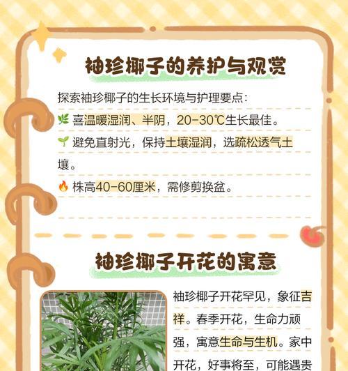 袖珍椰子需要什么样的土壤？如何为袖珍椰子选择合适的土壤？