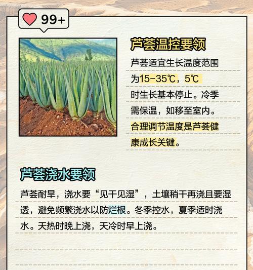 波路芦荟的养殖技巧是什么？
