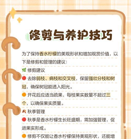 柠檬种植的步骤和注意事项是什么？