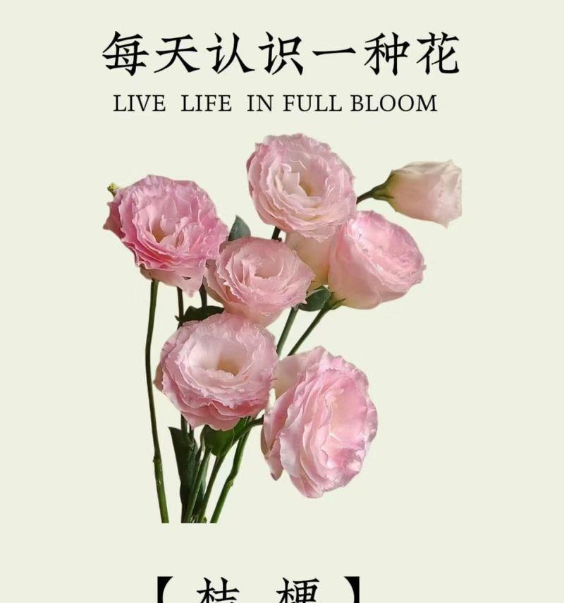 花草有哪些常见的名称？它们的分类和特性是什么？