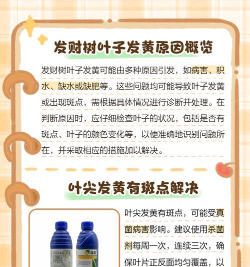 发财树叶子发黄的解决方法是什么？