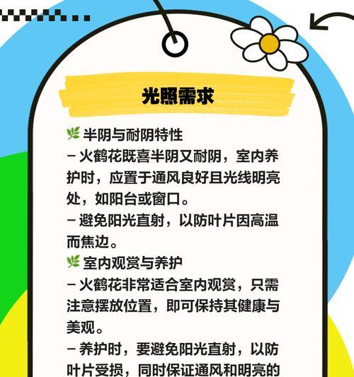 火鹤花的繁殖技巧是什么？如何成功繁殖出更多的火鹤花？