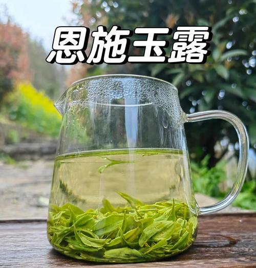玉露哪个品种最好？如何挑选和养护玉露？